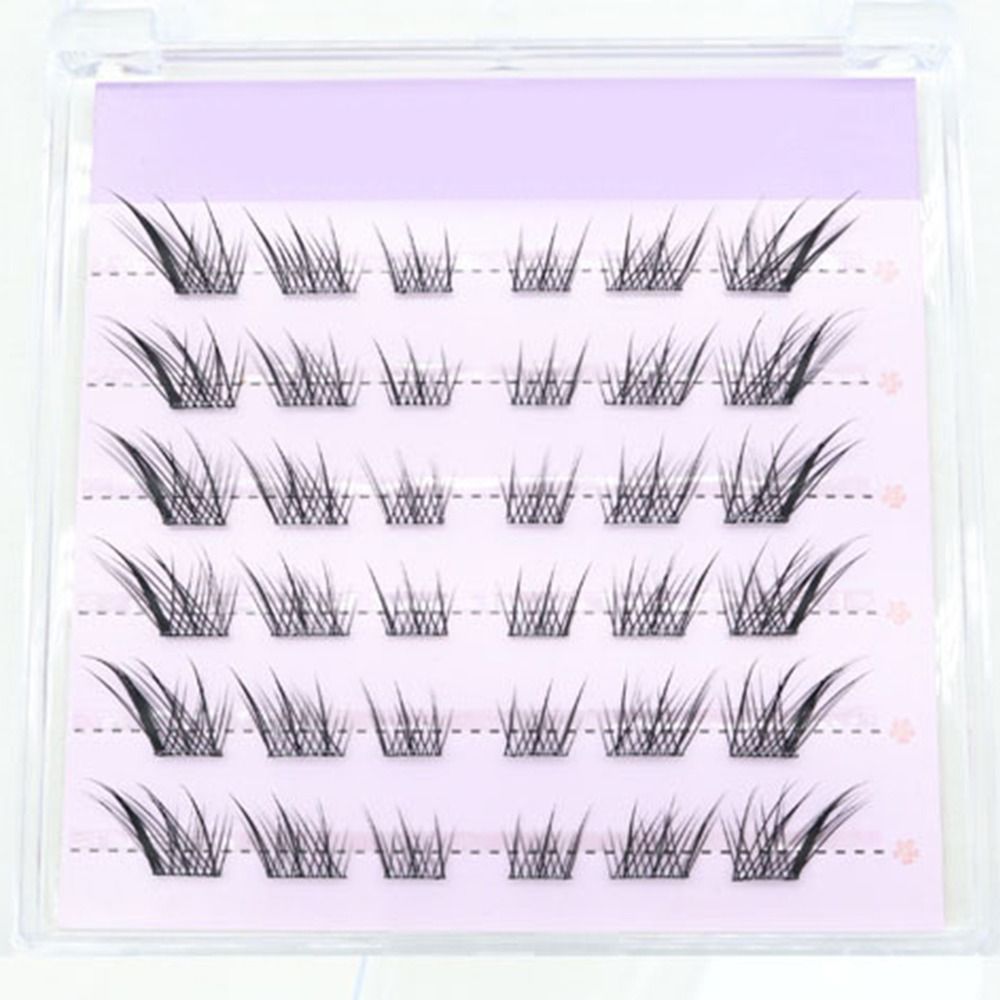 New 3D Cat Eye Self Adhesive L - Eyelash Extension Cat Eye 리뷰 및 가격